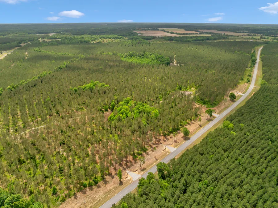 21 DJI 20240430135856 0110 D