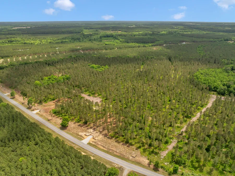 22 DJI 20240430135953 0118 D