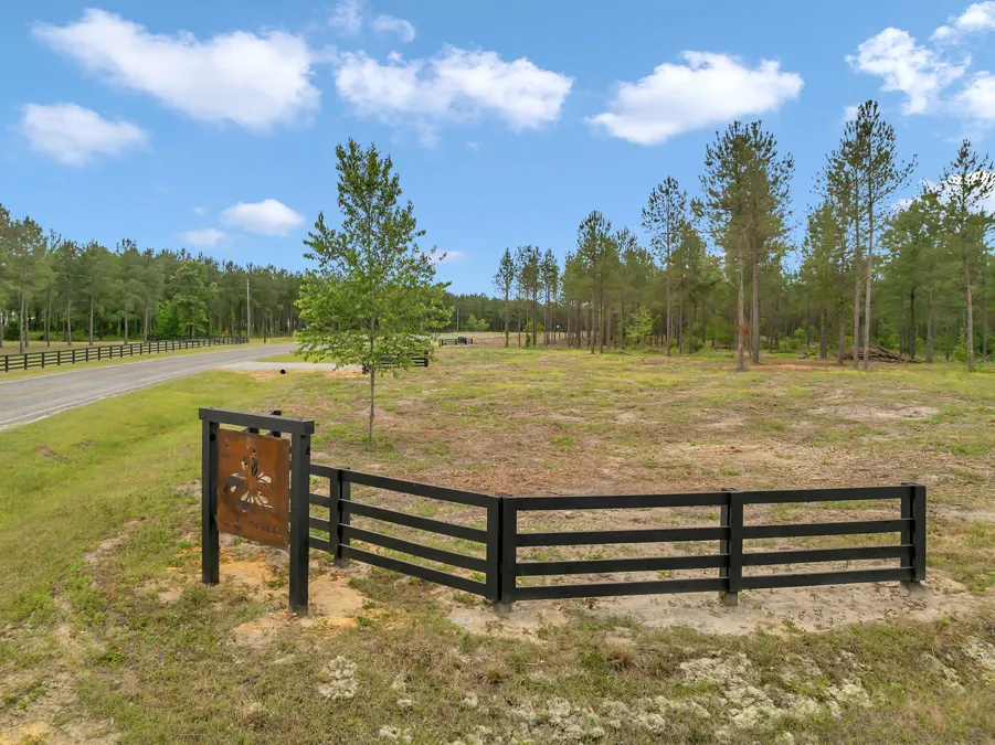 35 DJI 20240430140847 0174 D