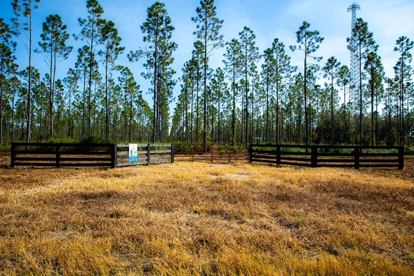 Bayfarmsphotos Lot10