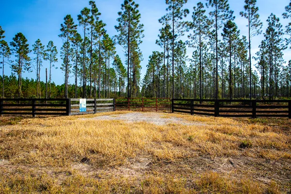 Bayfarmsphotos Lot11