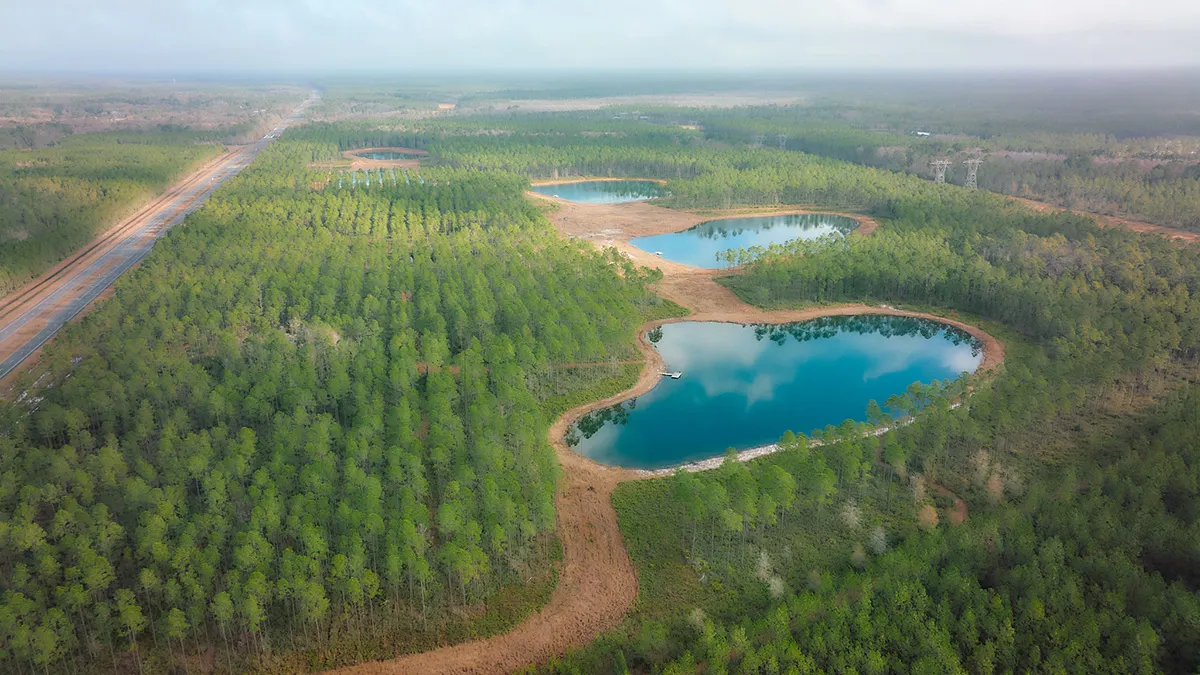 Brandy Branch Gallery Aerial All Ponds