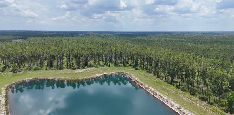 Brandy Branch Lot 2 Pond