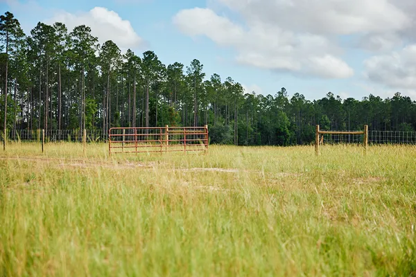 Brandy Branch Lot 2 Red Gate