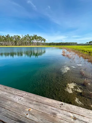 Brandy Branch Lot 3 Pond Vertical