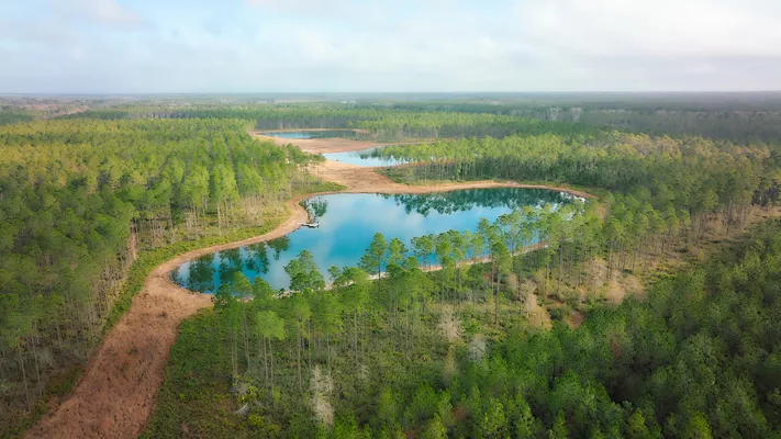 Brandy Branch Lot 5 Pond