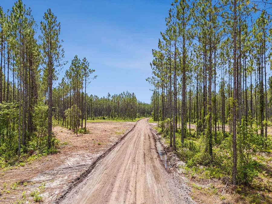 Bray Tract Dirt Road