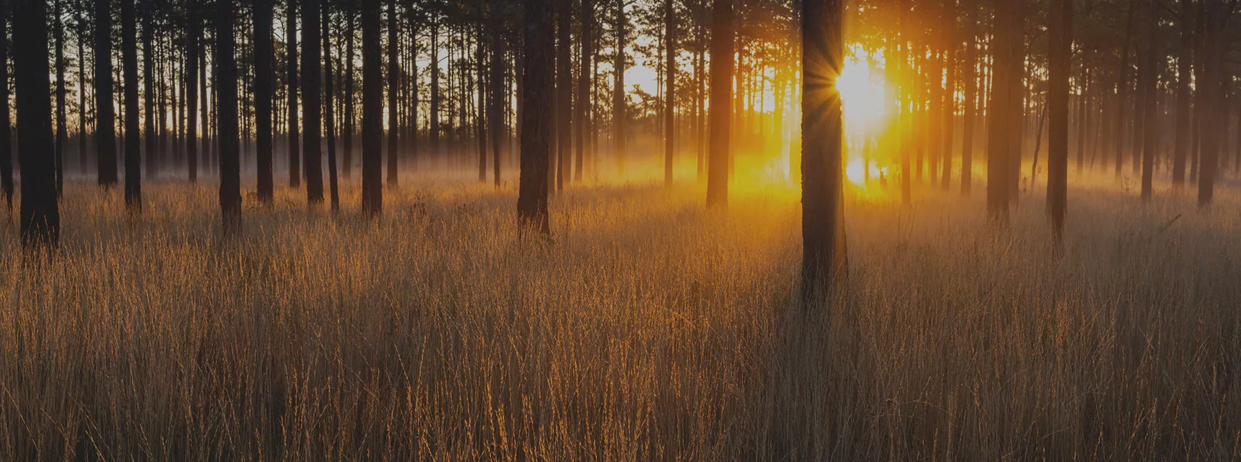 Butler County AL Hero