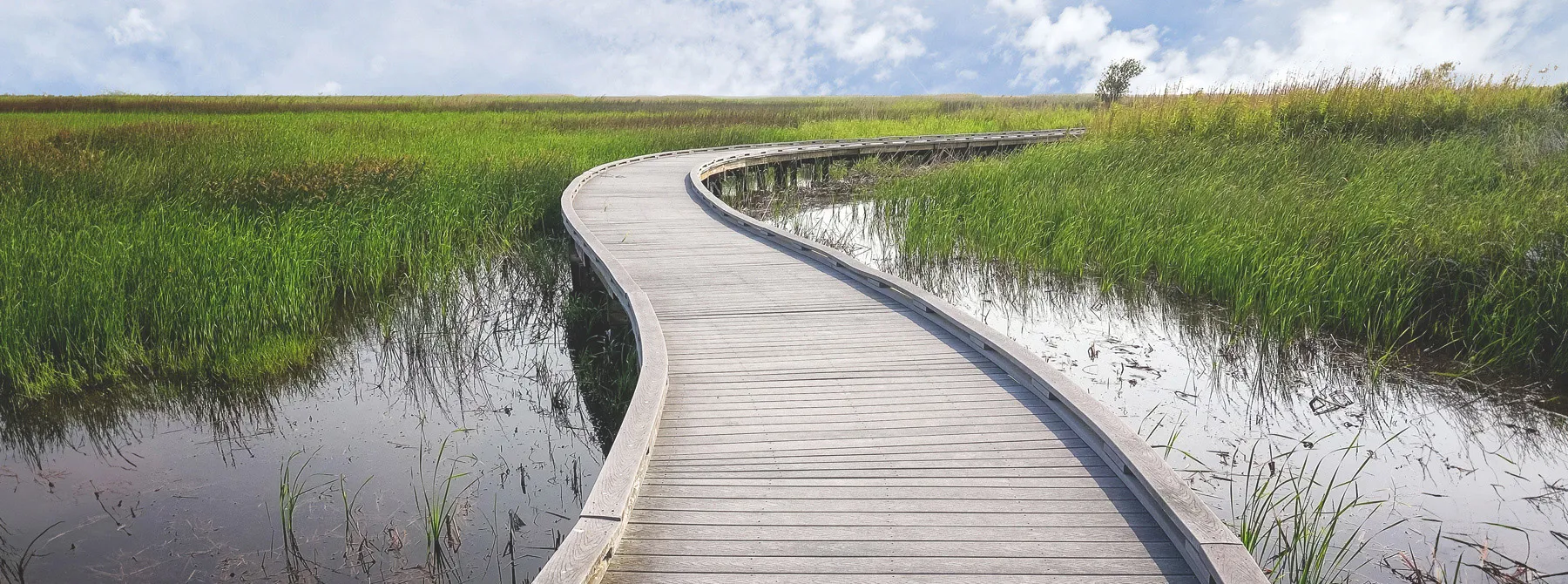 Calcasieu Parish LA Hero