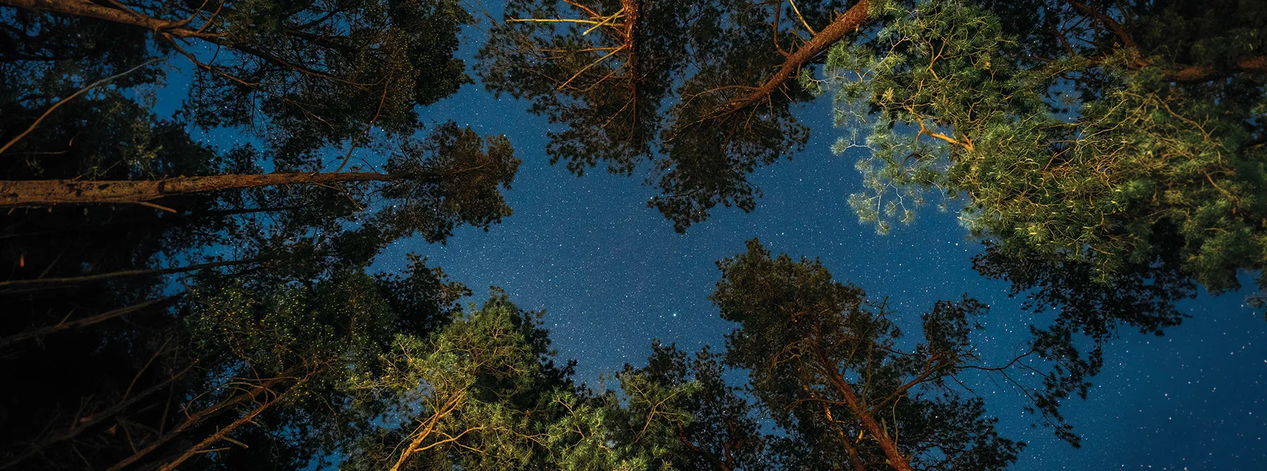 Crenshaw County AL Hero