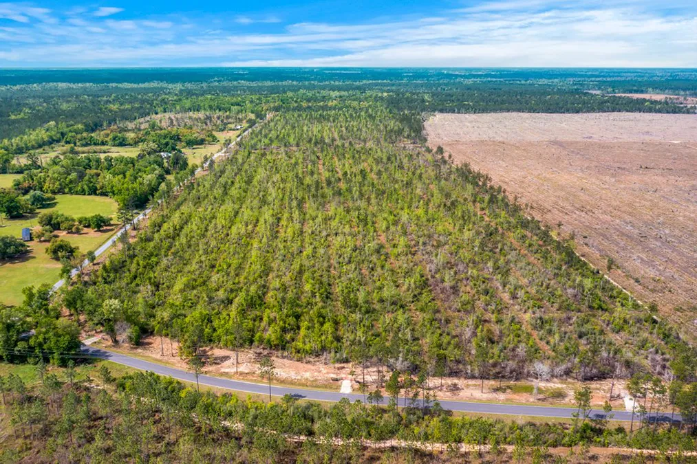 Evergreen Trace Aerial 2