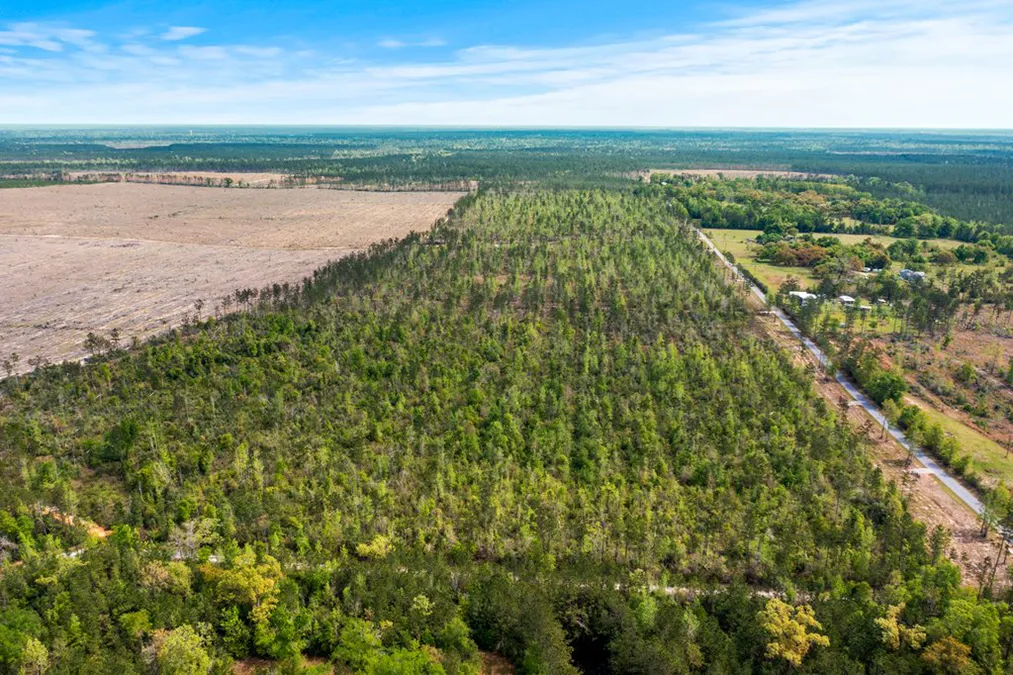 Evergreen Trace Aerial 5