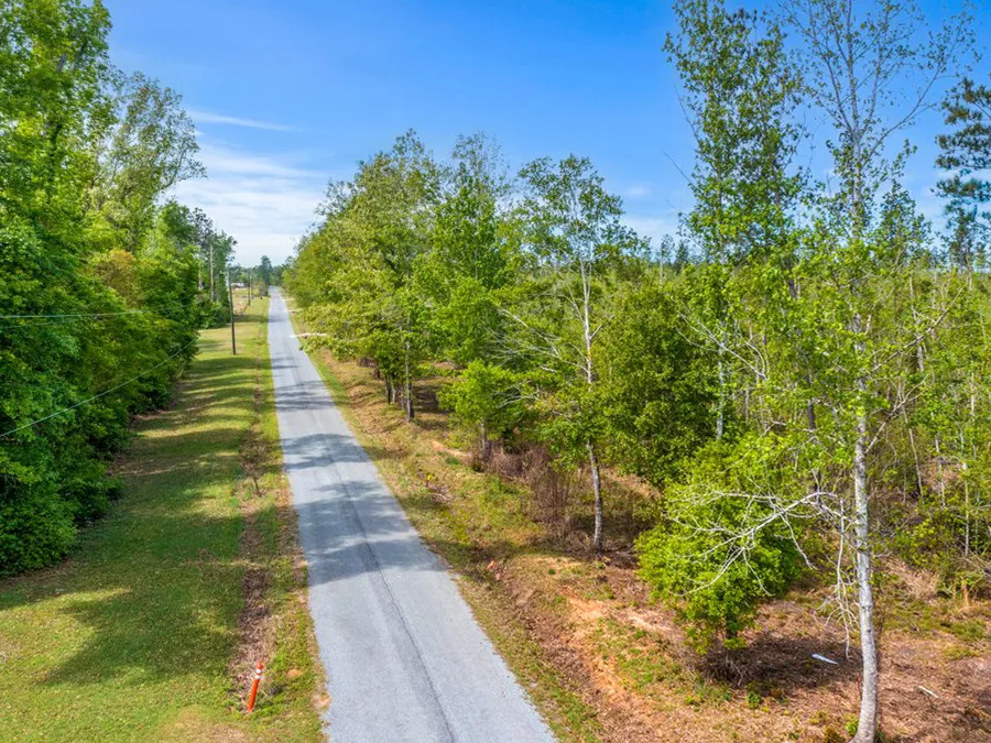 Evergreen Trace Featured