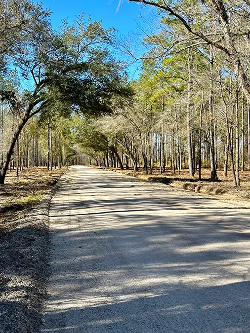 Falling Creek Dirt Road 3