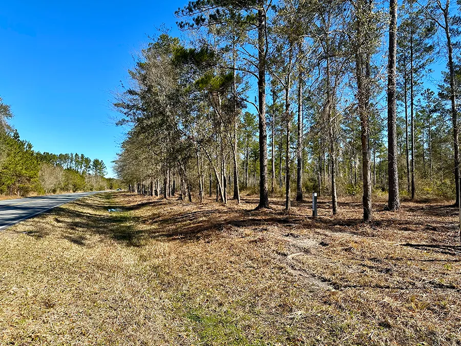 Falling Creek Paved Road 2