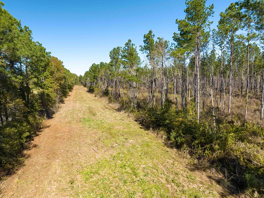 Gander Way Jeff Davis LA 15