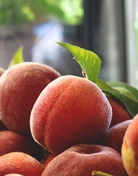 Georgia Peaches