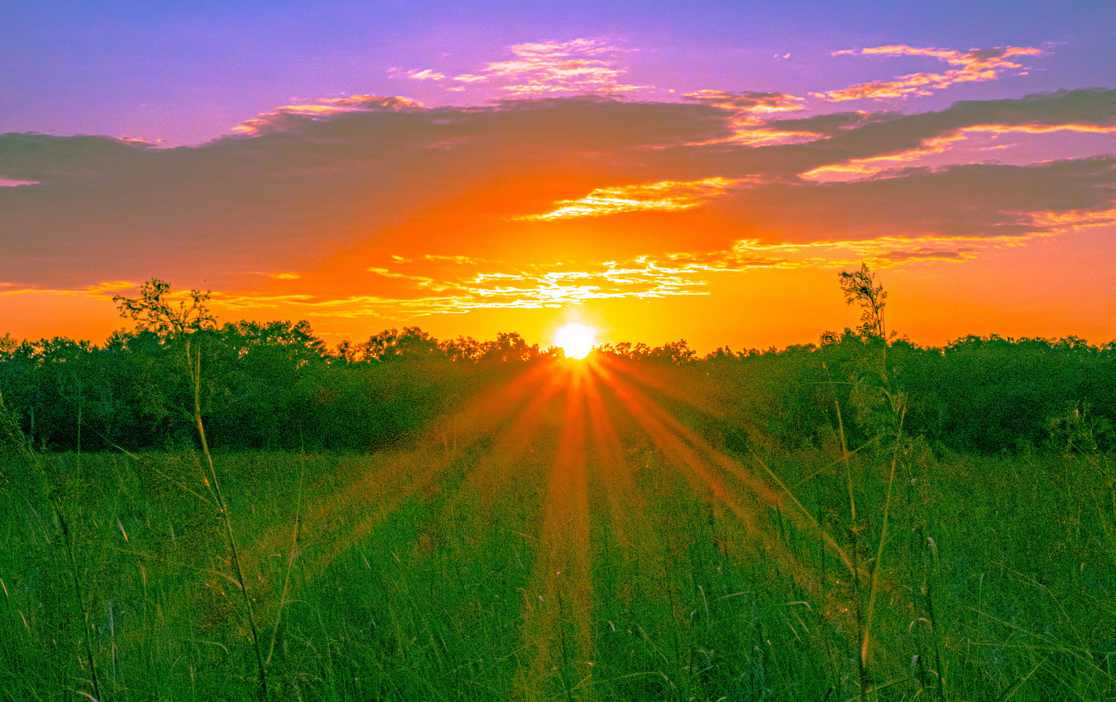 10 Reasons Why Callahan, Florida is a Great Rural Place to Call Home