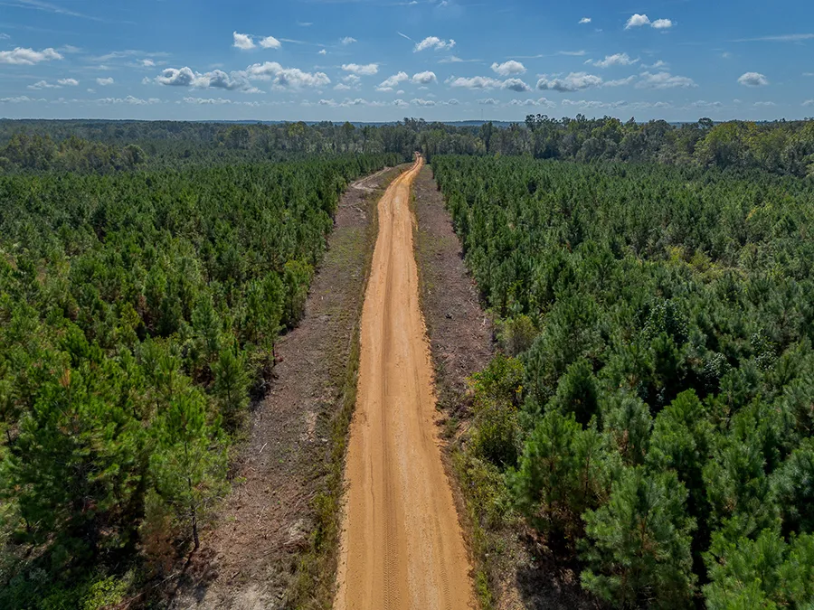 Little Alligator Creek 7