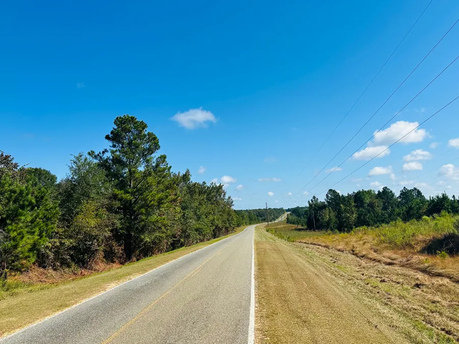 Little Alligator Creek Features