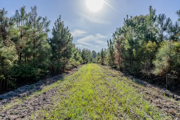 Little Alligator Creek Lot8 4