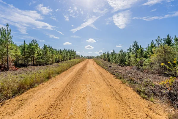 Little Alligator Creek Lot8 5