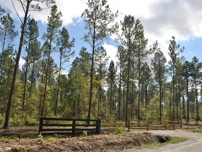 Mallard Farms Featured