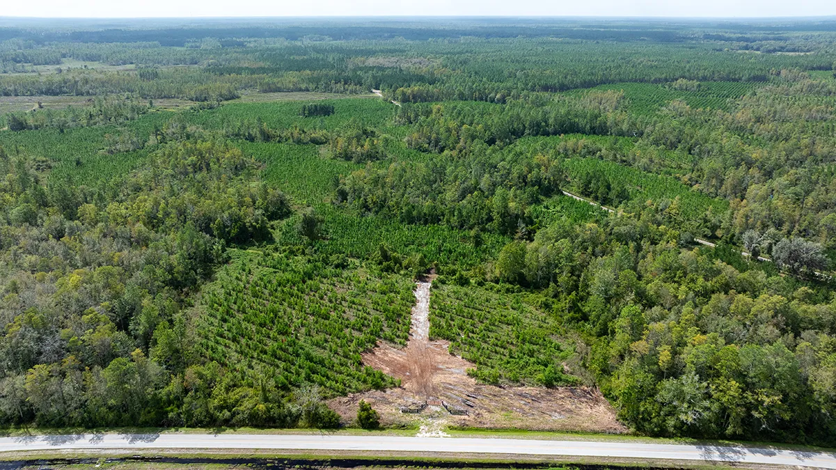 Old Cypress Farms Lot 11