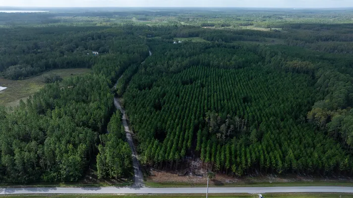 Old Cypress Farms Lot 14