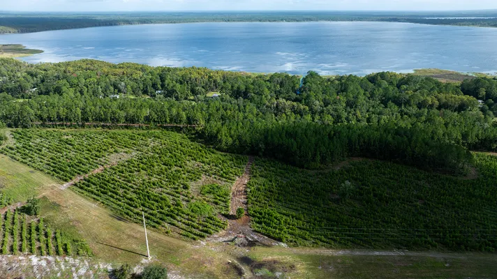 Old Cypress Farms Lot 7