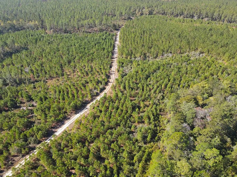 Old Salt Road Aerial