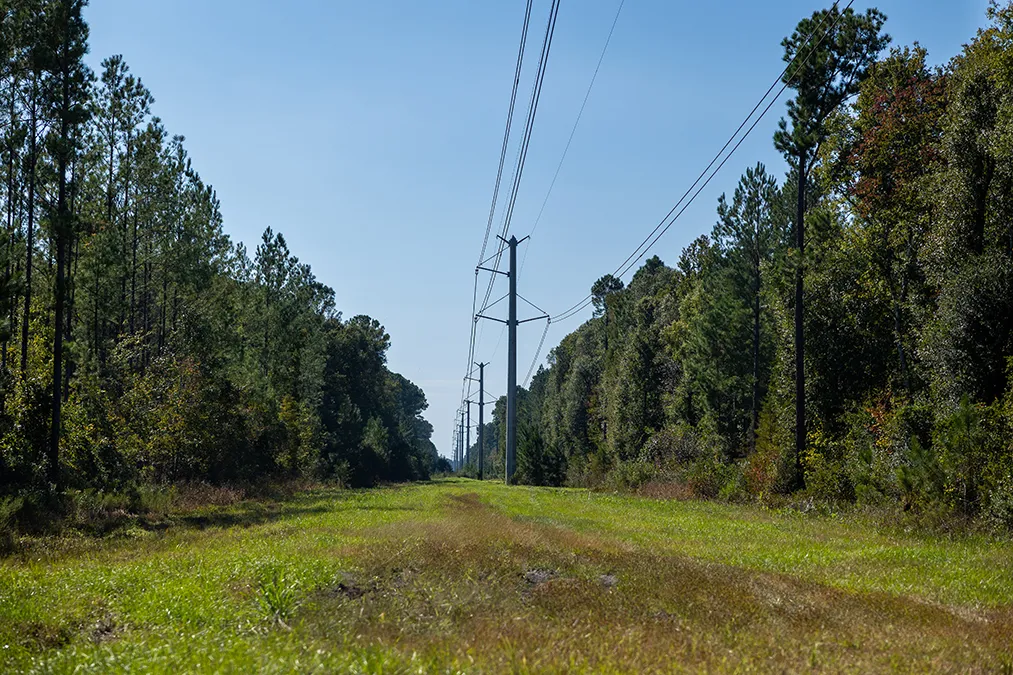 Sandy Oaks Electrical