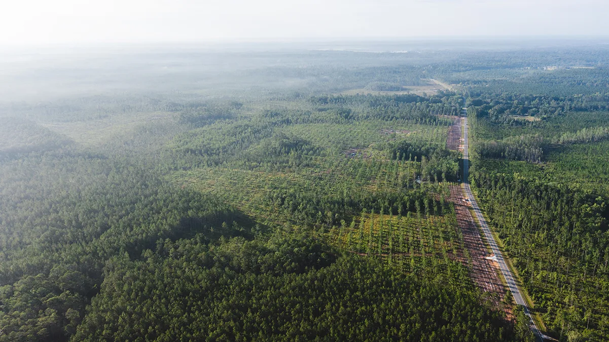Stave Branch Aerial 5