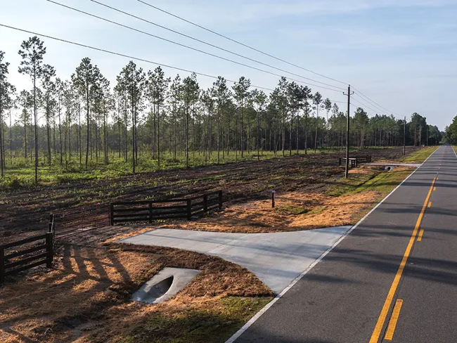 Stave Branch Featured