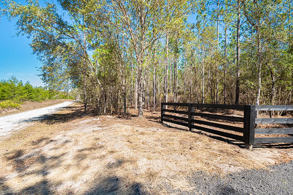 Steel Bridge Road Dirt