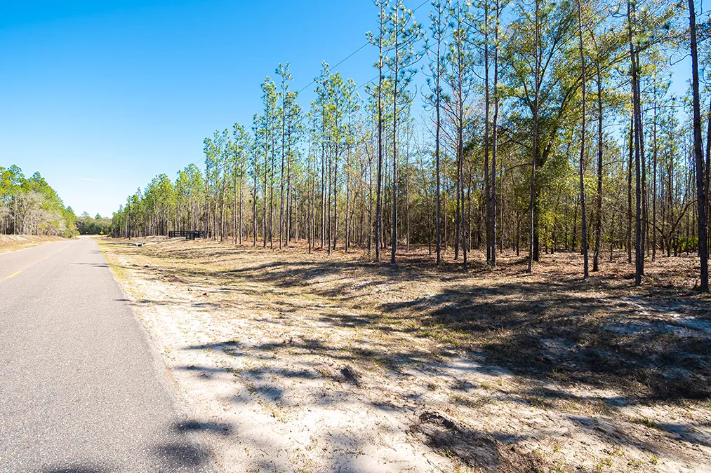 Steel Bridge Road Paved