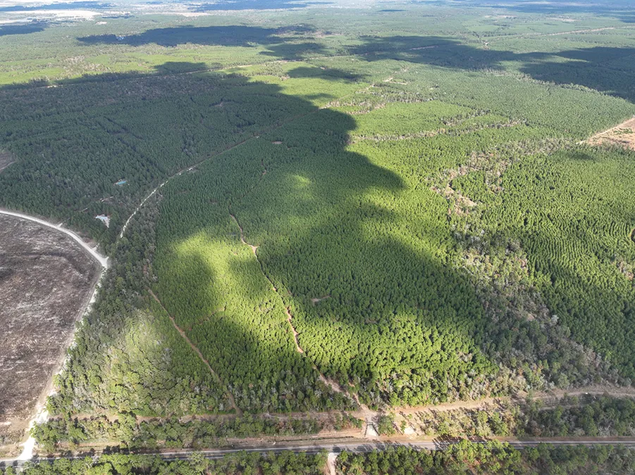 Walker Preserve Aerial 2