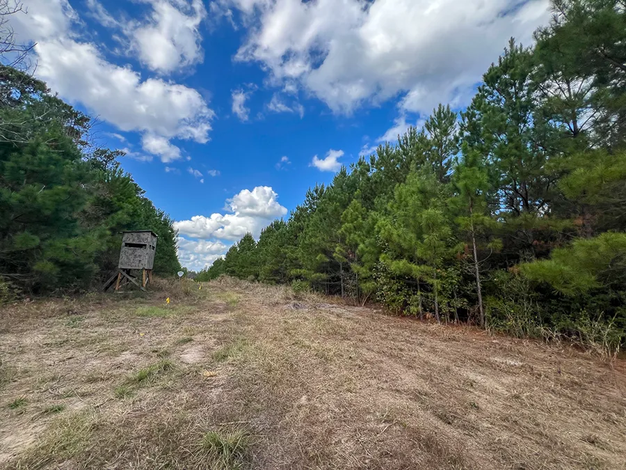 Walker Preserve Blind